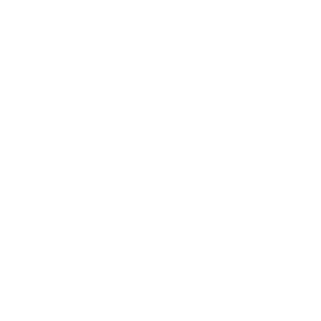 Strobl Brandschutz Logo